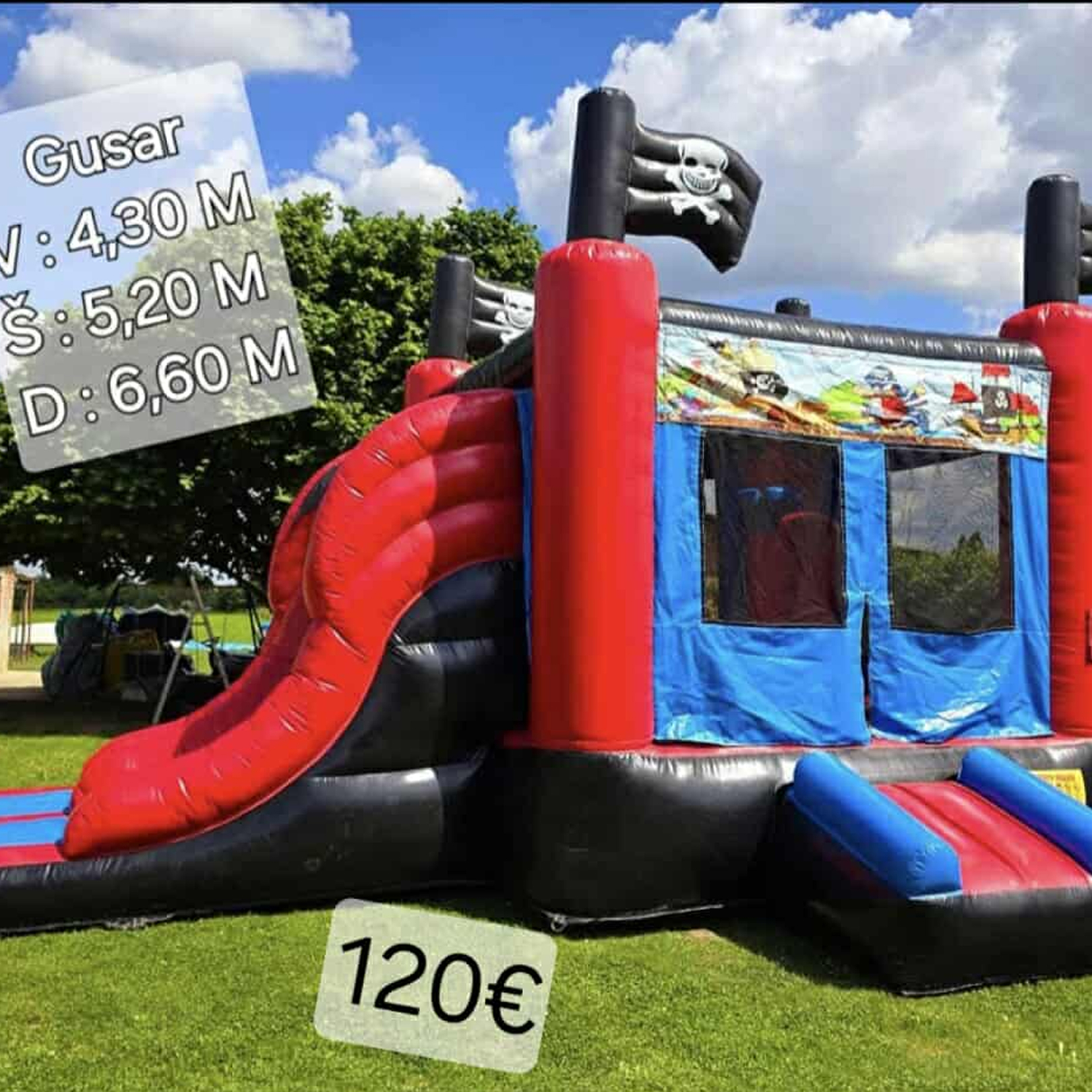 Lola Napuhanci Fotografija 2