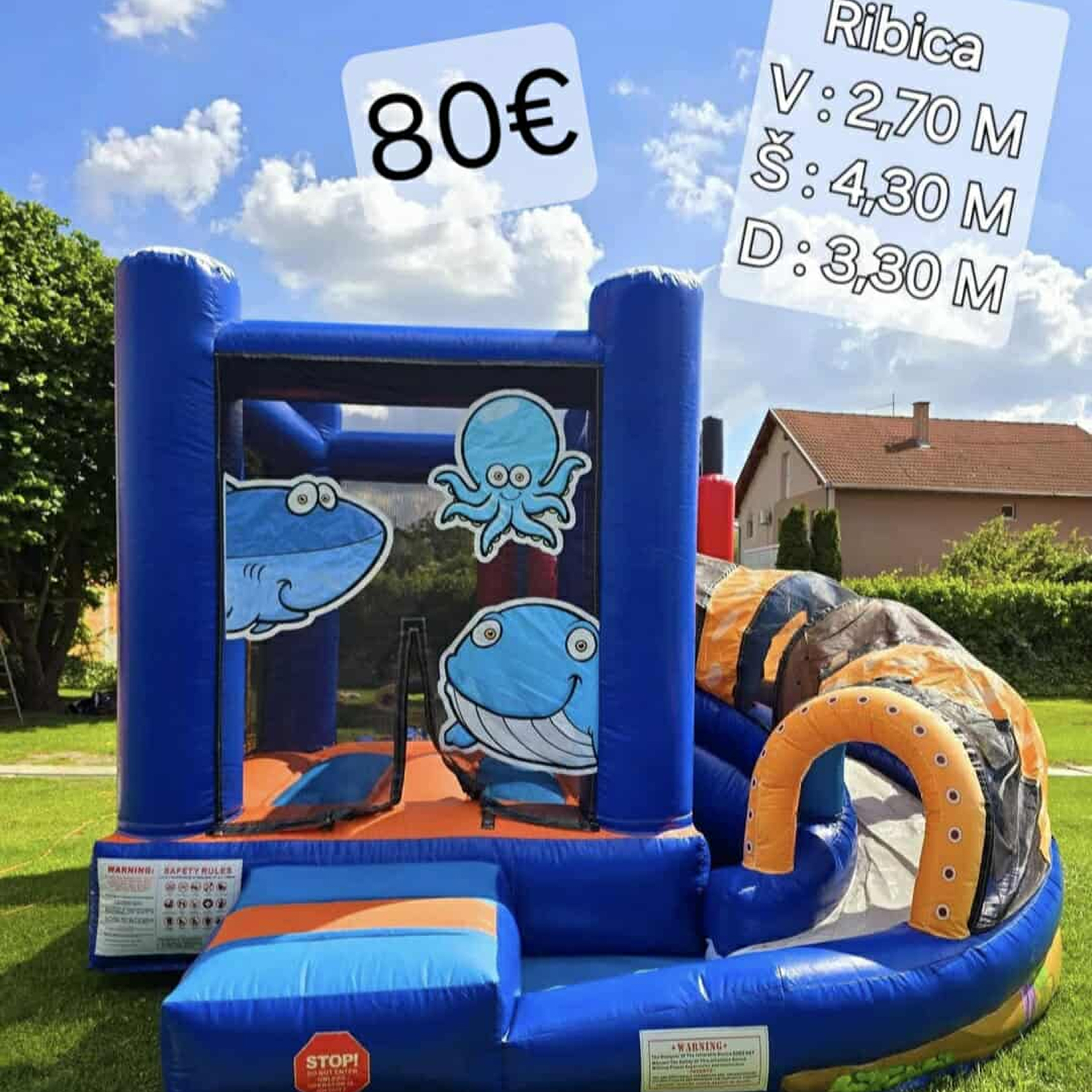 Lola Napuhanci Fotografija 3