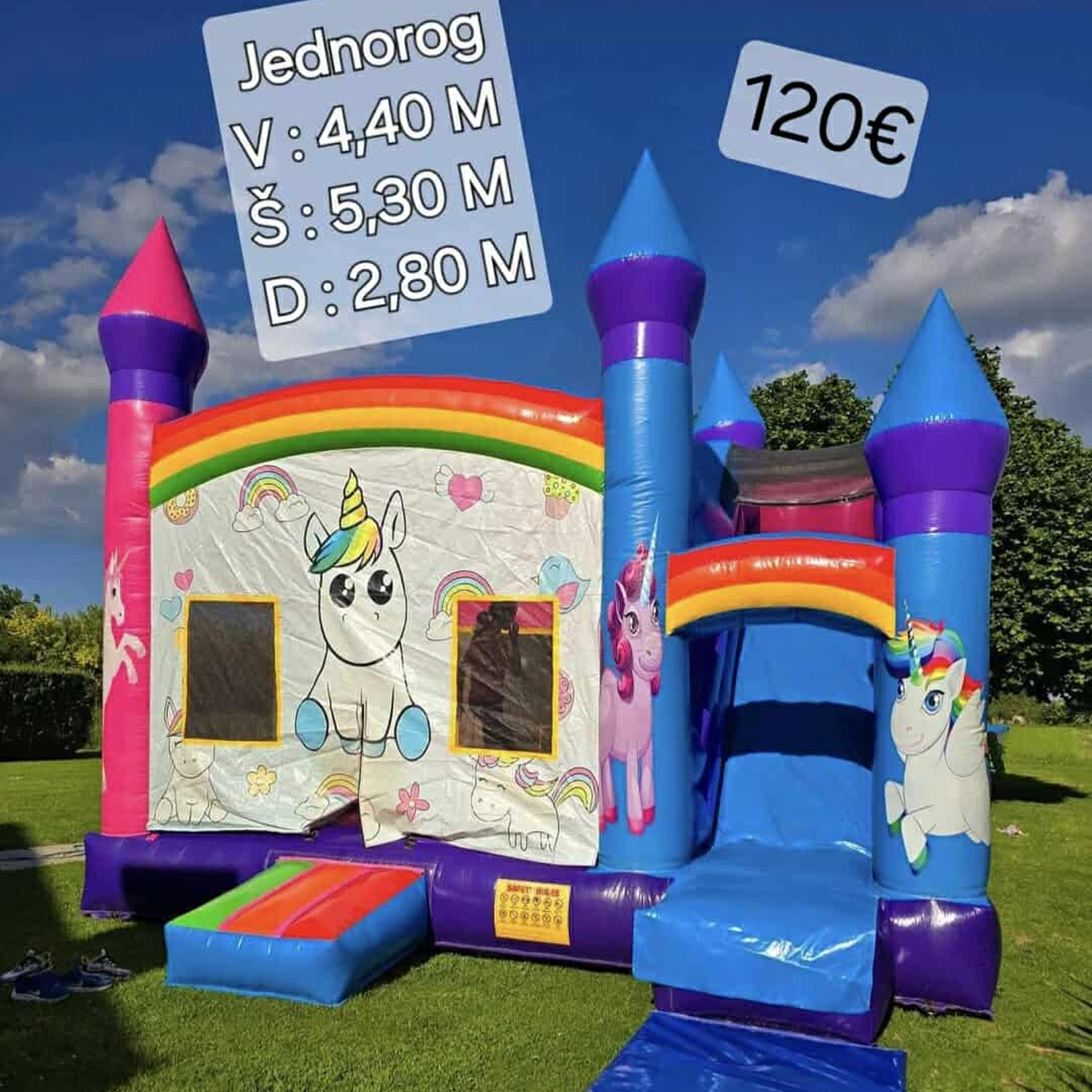 Lola Napuhanci Fotografija 5